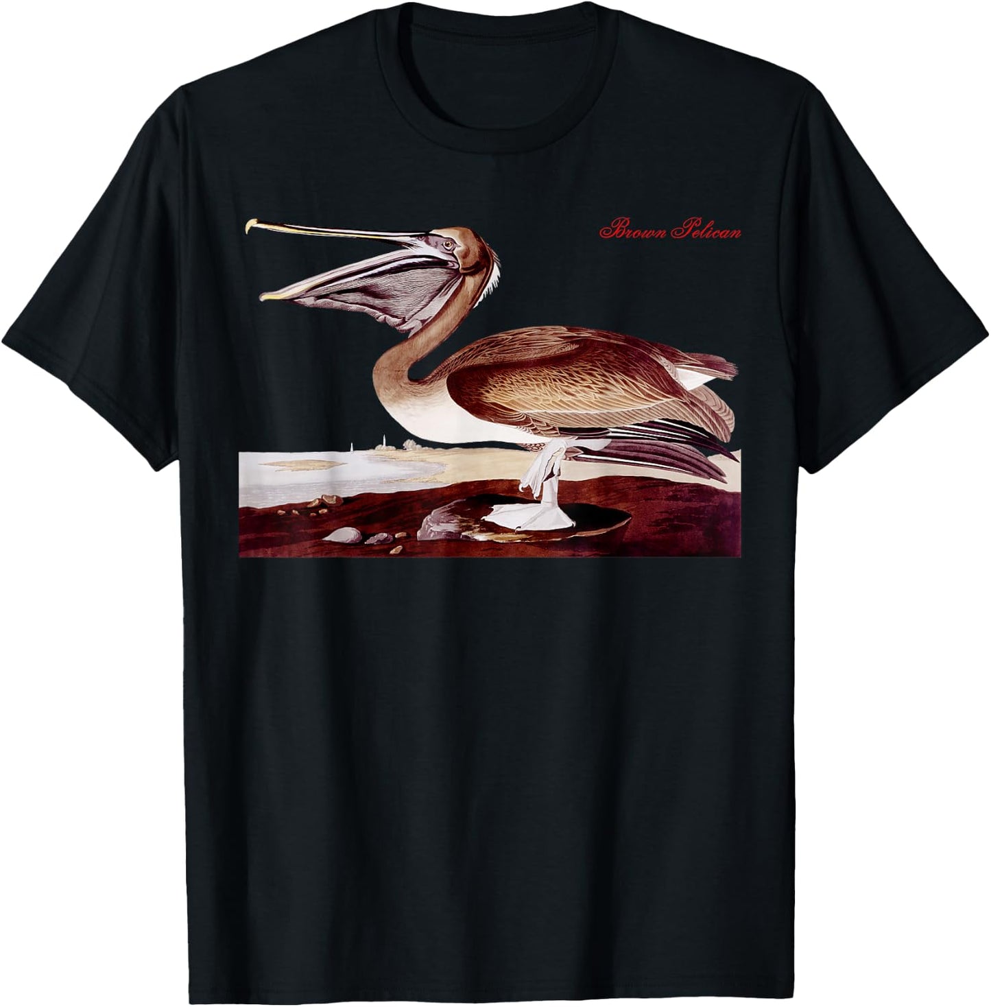 Audubon Brown Pelican North American Birds Education Nature T-Shirt - T-Shirt | Black