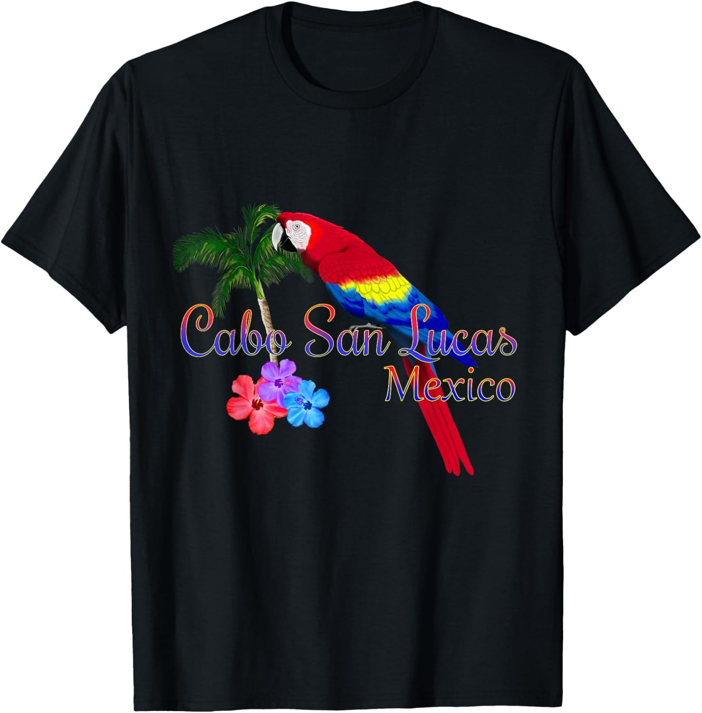 Cabo San Lucas Mexico Baja Souvenir T-Shirt - T-Shirt | Black