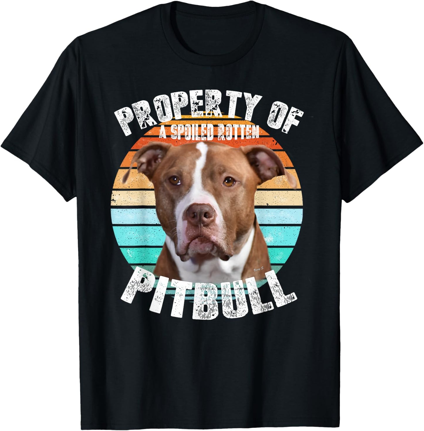 Pit Bull Owner Lover Retro Pitbull T-Shirt - T-Shirt | Black