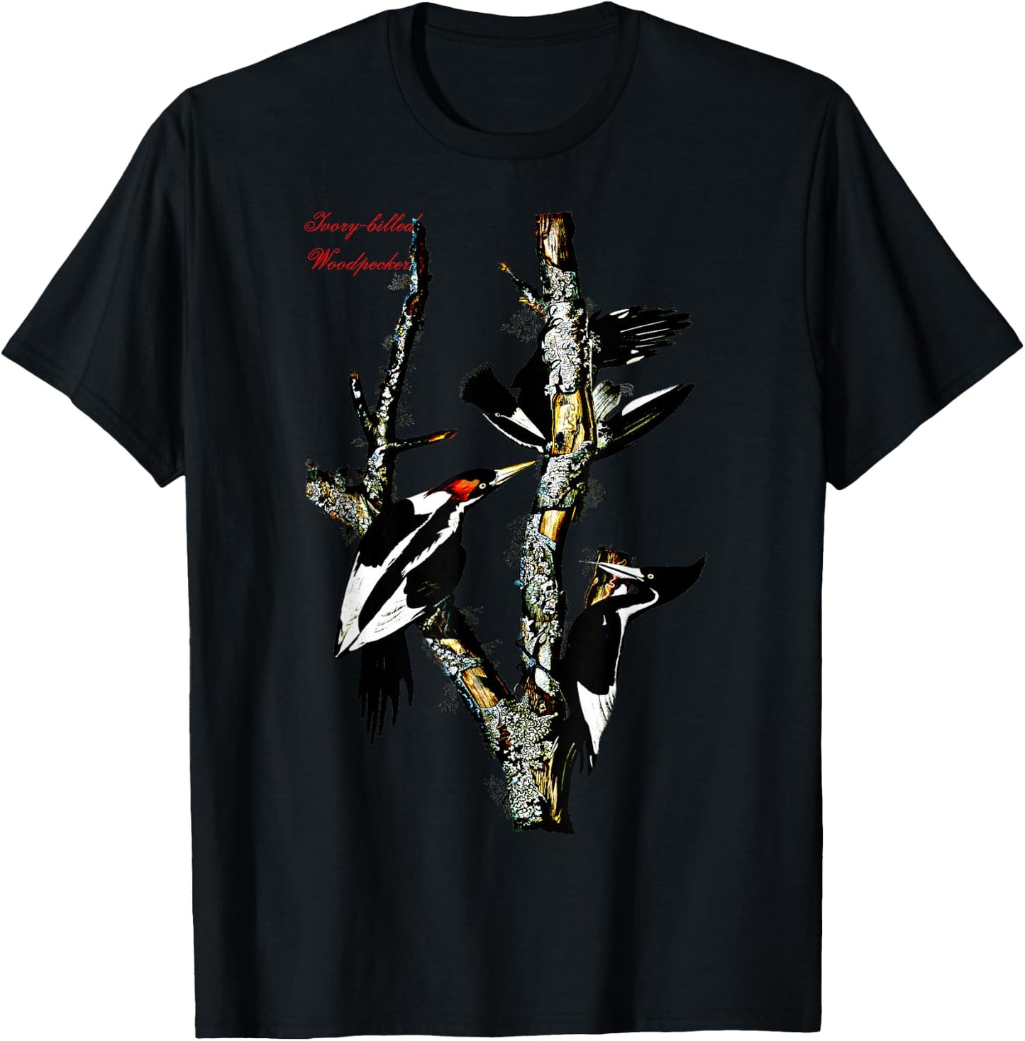 Audubon Ivory-billed Woodpecker North American Birds T-Shirt - T-Shirt | Black