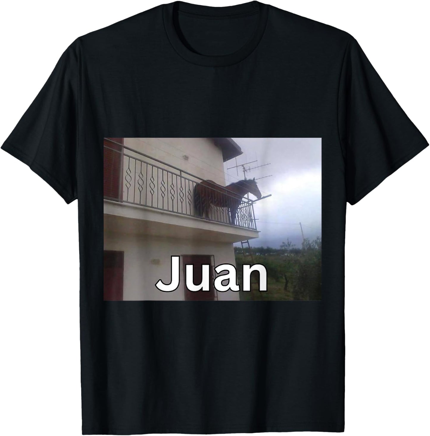 Funny Juan Horse on Balcony Meme T-Shirt - T-Shirt | Black
