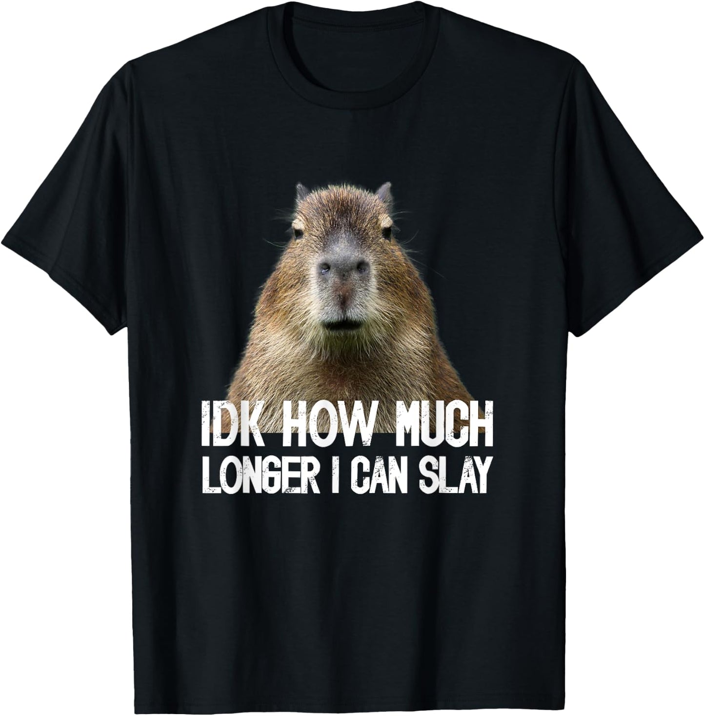 Idk How Much Longer I Can Slay Capybara Sarcastic Dank Meme T-Shirt - T-Shirt | Black