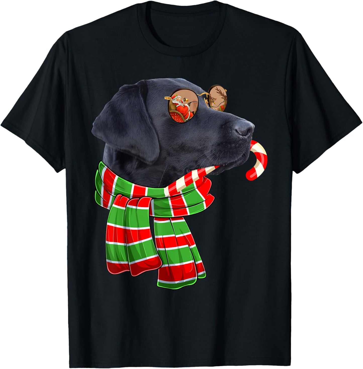 Black Lab Labrador Dog Owners Christmas Xmas Holiday Party T-Shirt - T-Shirt | Black