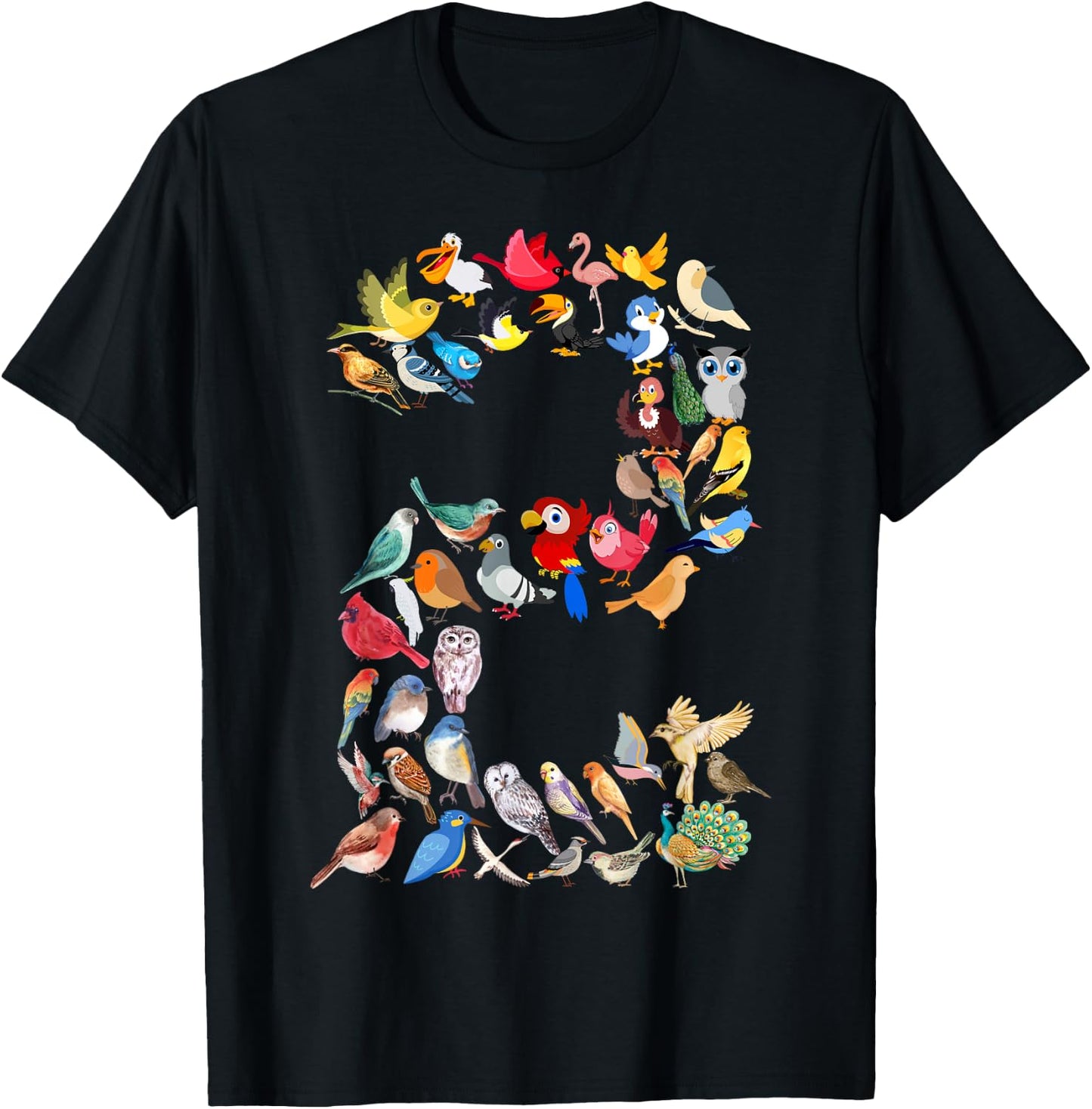 Toddler 2nd Birthday Birds Themed 2 Year Old Kids Bird Lover T-Shirt - T-Shirt | Black