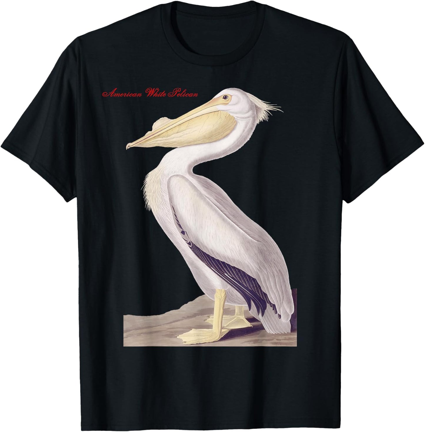 Audubon American White Pelican Birds Education Nature T-Shirt - T-Shirt | Black