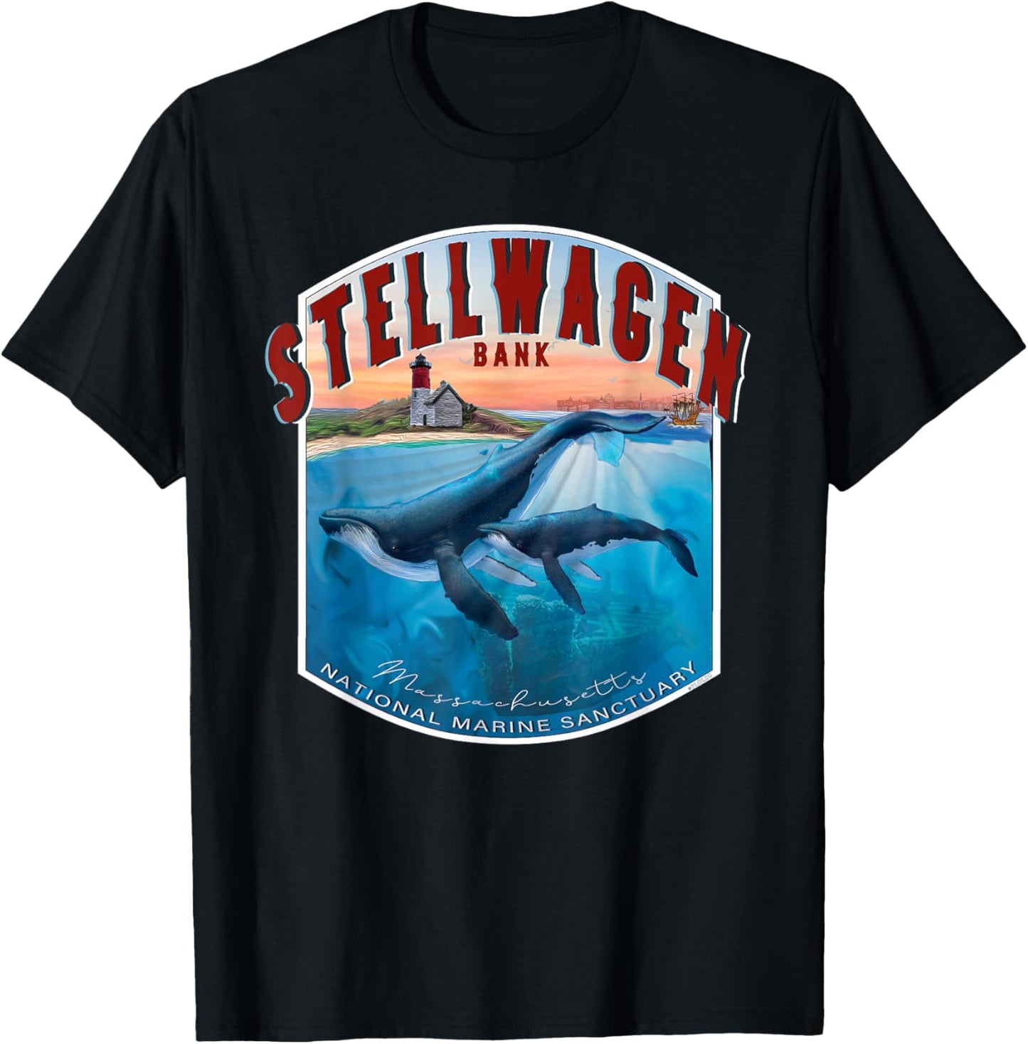 Stellwagen Banks National Marine Sanctuary Atlantic Coast T-Shirt - T-Shirt | Black