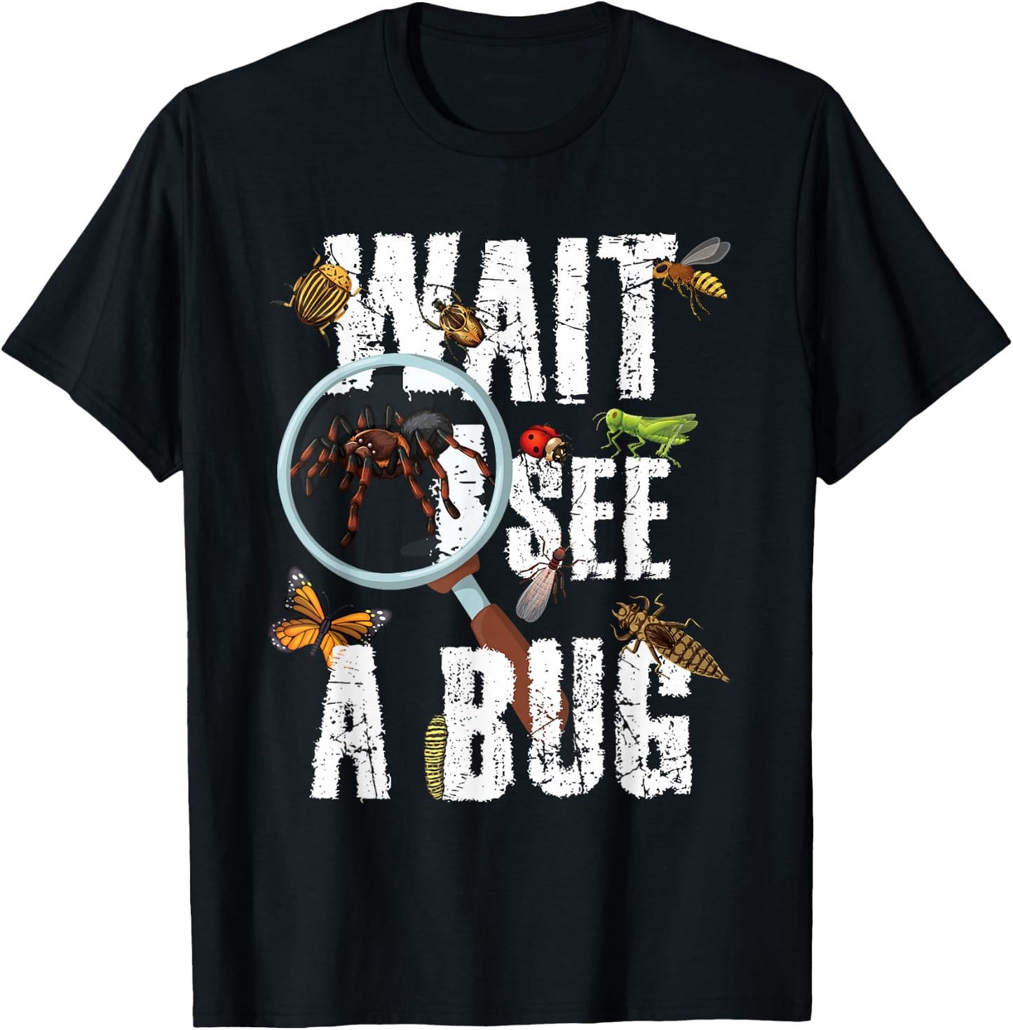 Insects of The World Bug Lover Expert Entomologist Bugs Fan T-Shirt - T-Shirt | Black