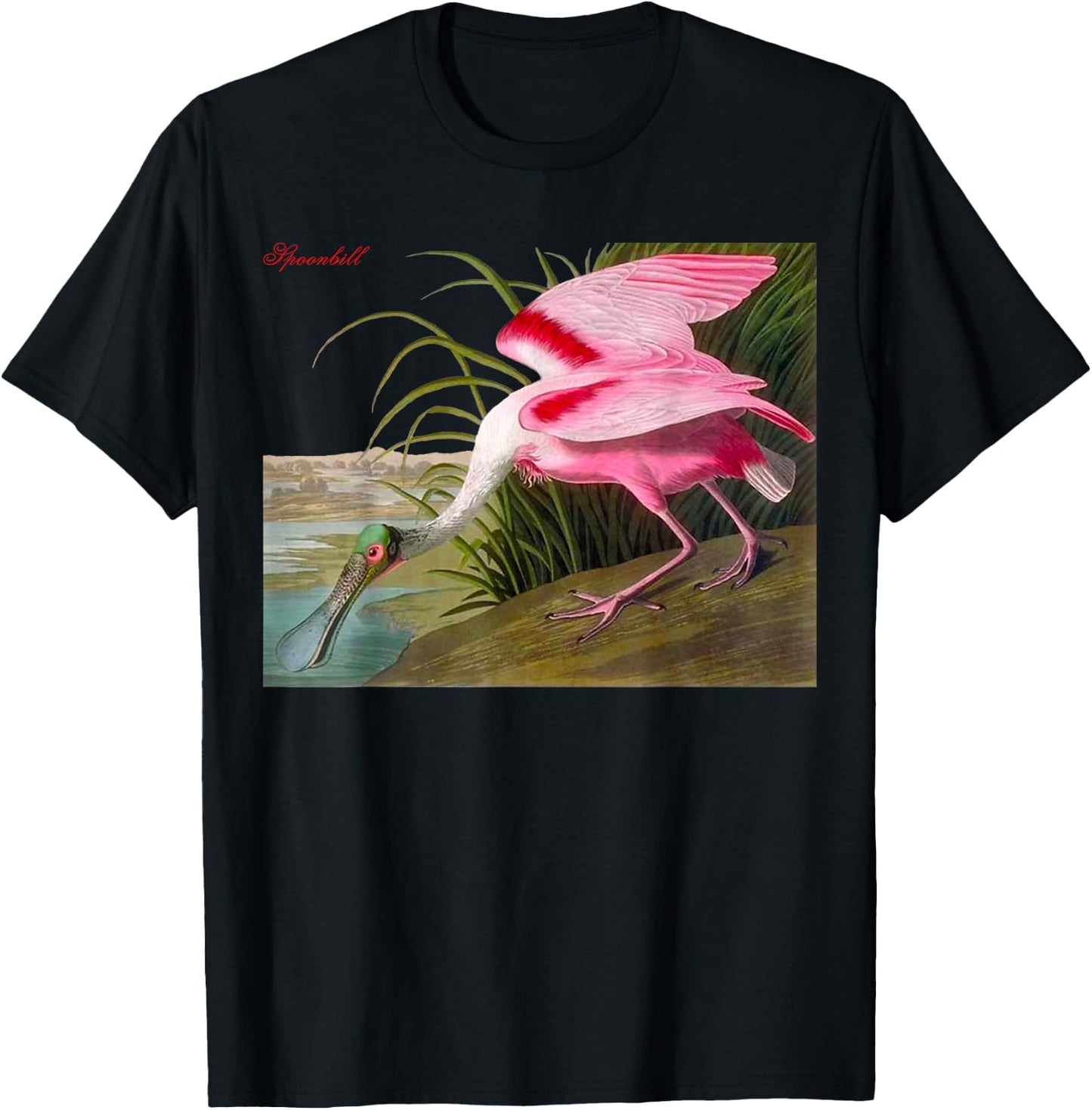 Audubon Spoonbill North American Birds Education Nature T-Shirt - T-Shirt | Black
