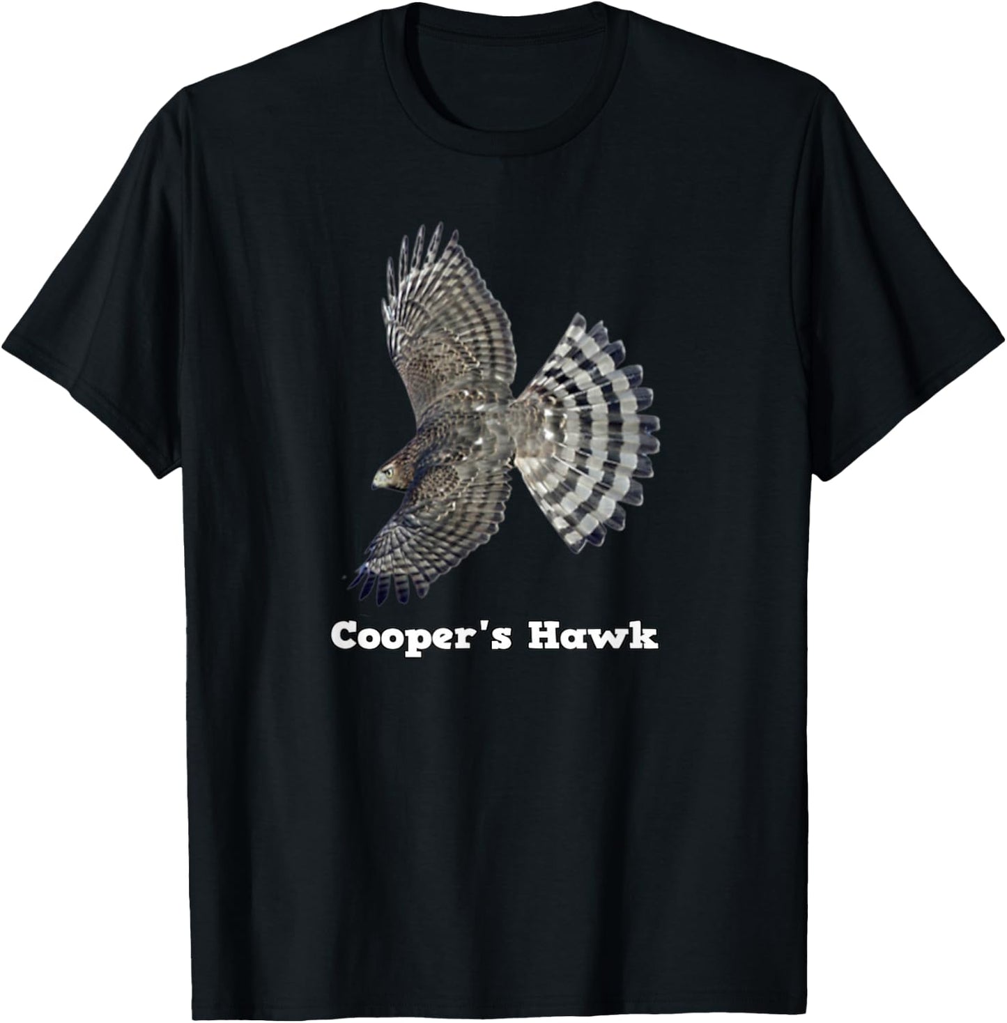 Cooper's Hawk Wildlife T-Shirt - T-Shirt | Black