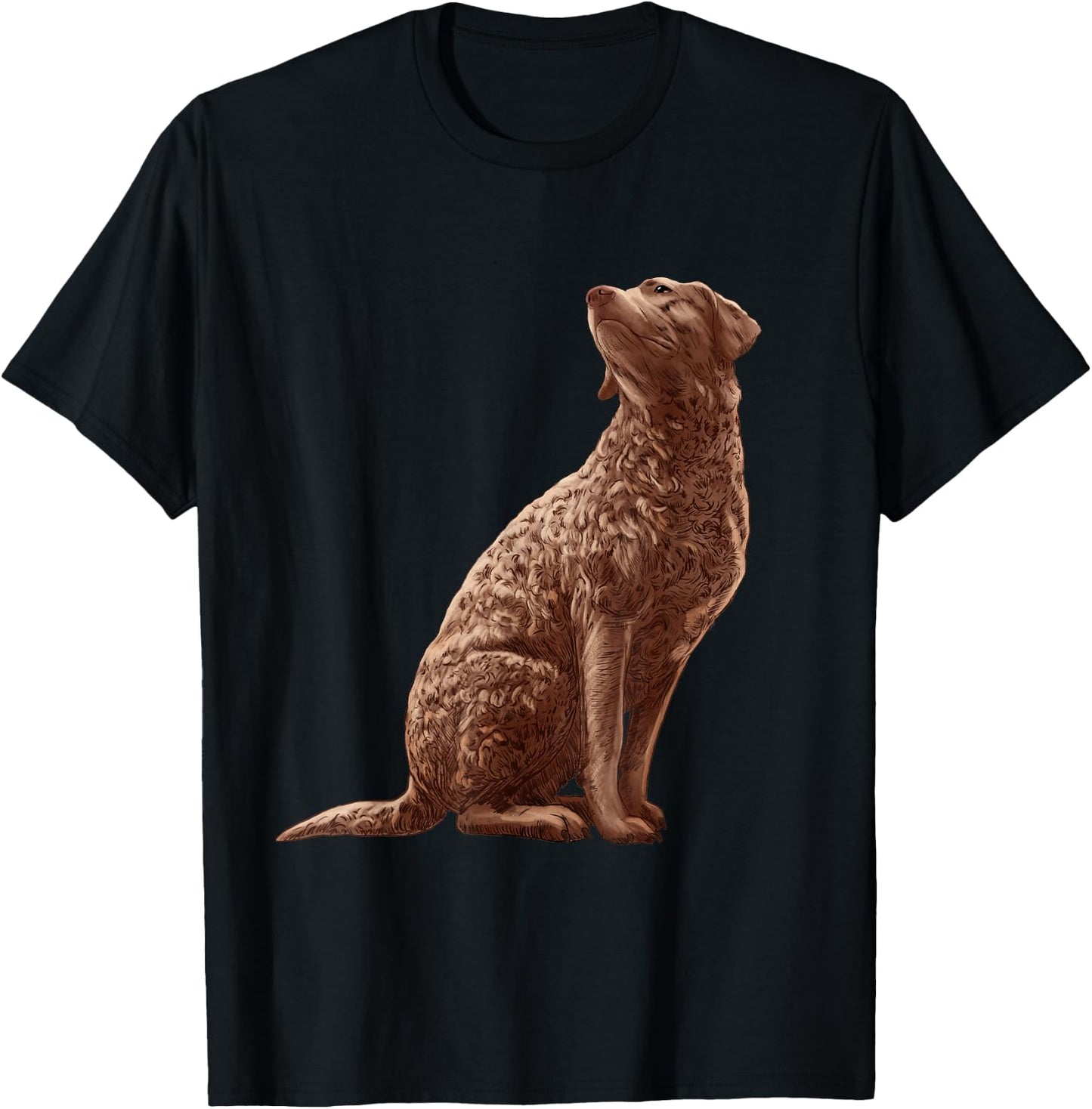 Sitting Dog Chesapeake Bay Retriever T-Shirt - T-Shirt | Black