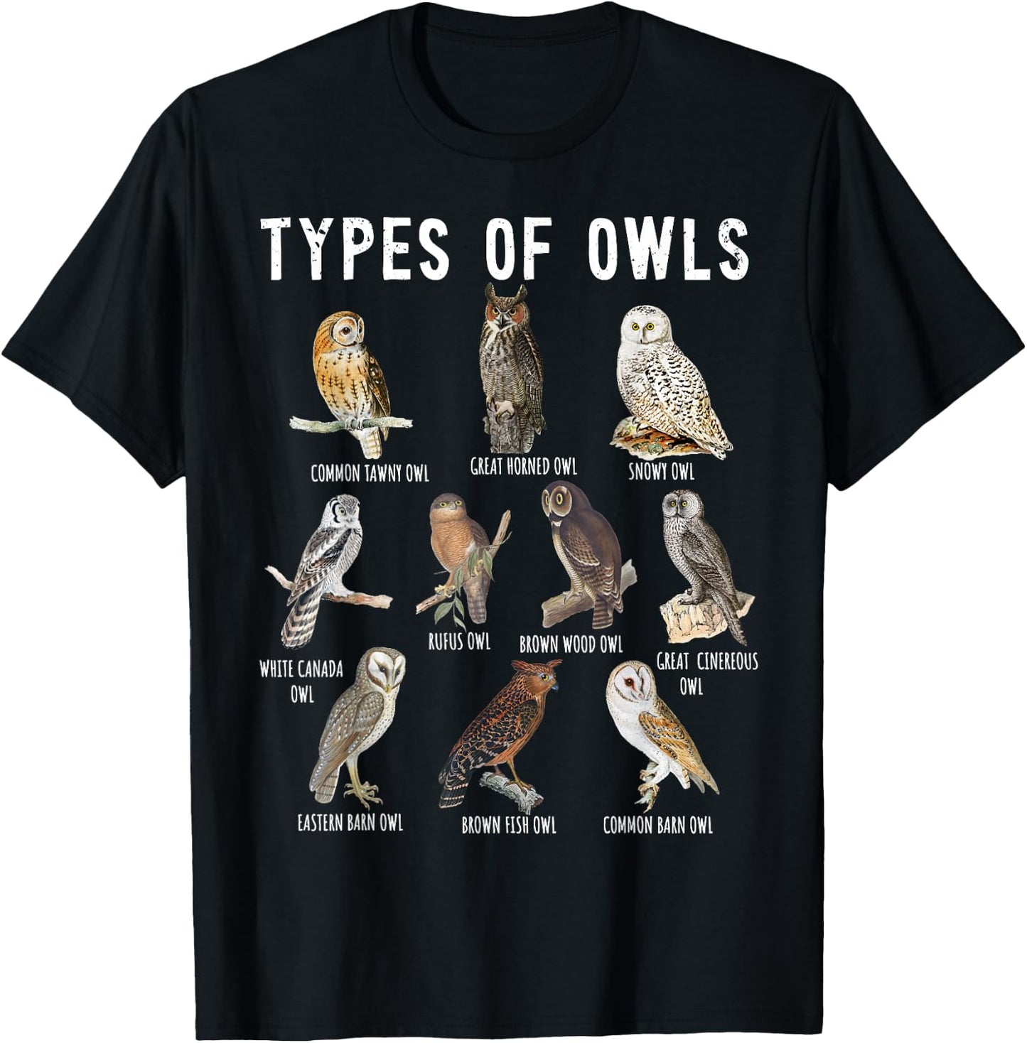 Owl Lover, Owl Types, Bird Lover, Owl T-Shirt - T-Shirt | Black