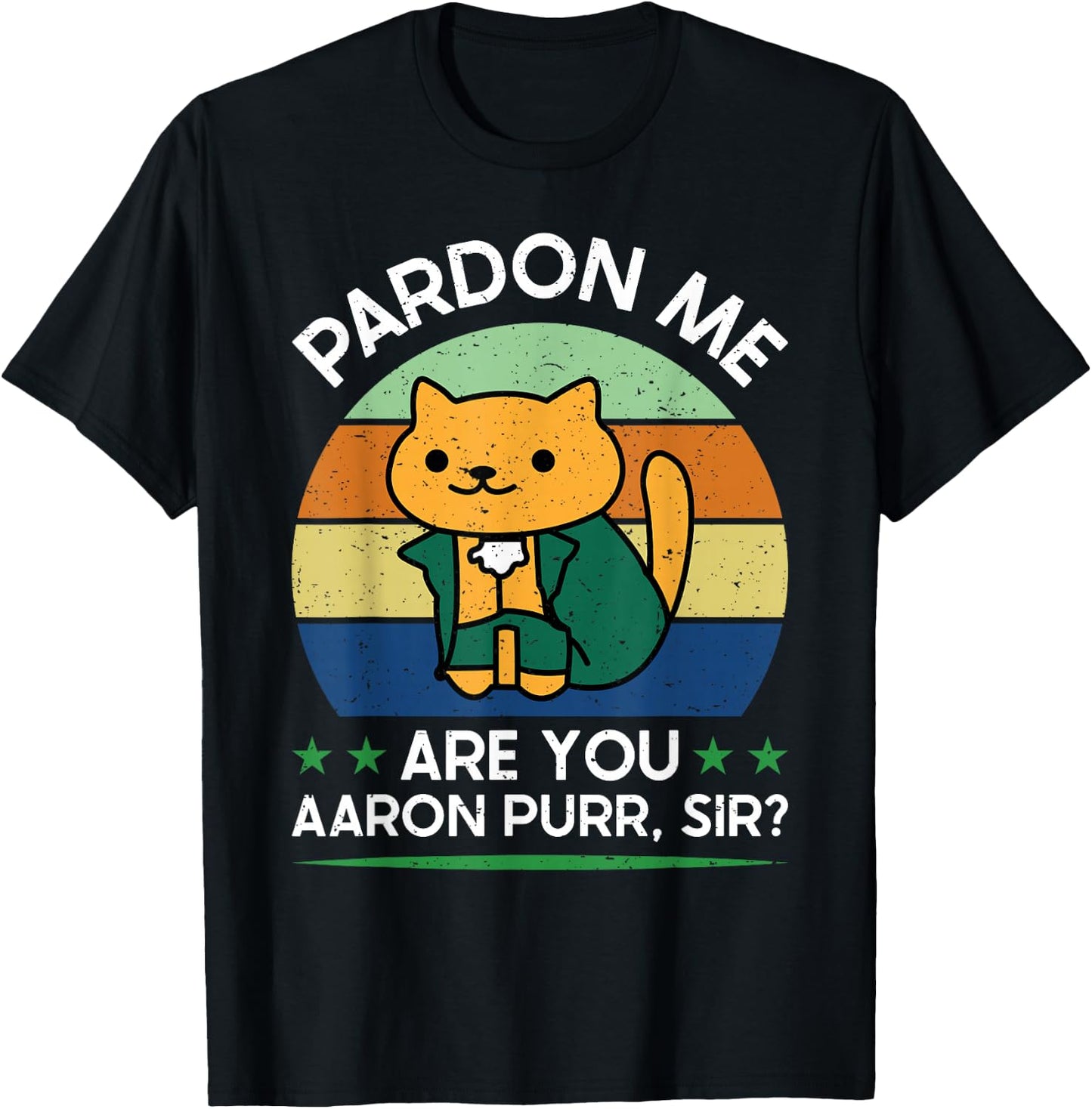 Funny 4Th Of July Pardon Me Are You Aaron Purr Sir T-Shirt - T-Shirt | Black