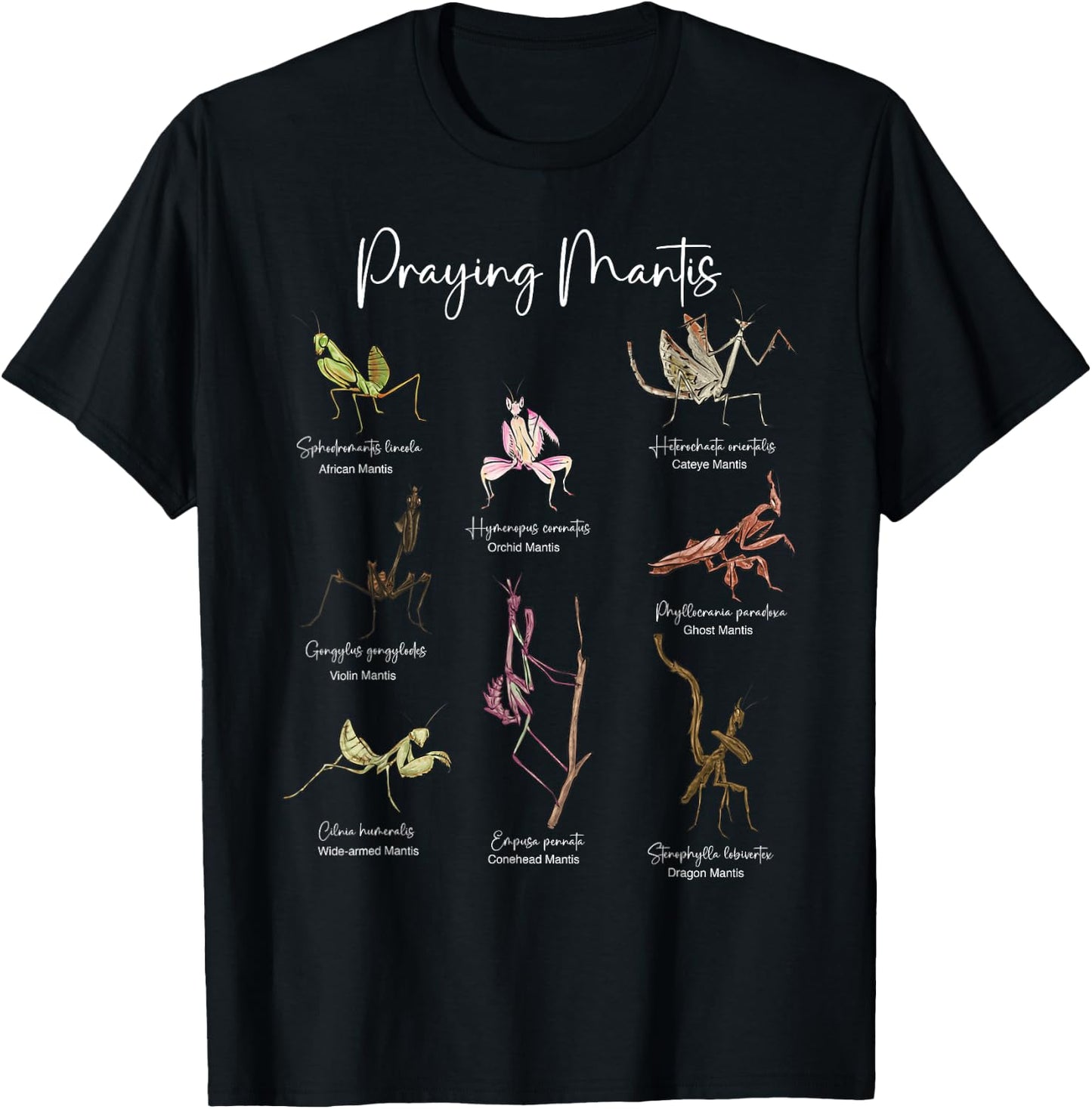 Types Of Praying Mantis Insect Collector Entomologist T-Shirt - T-Shirt | Black