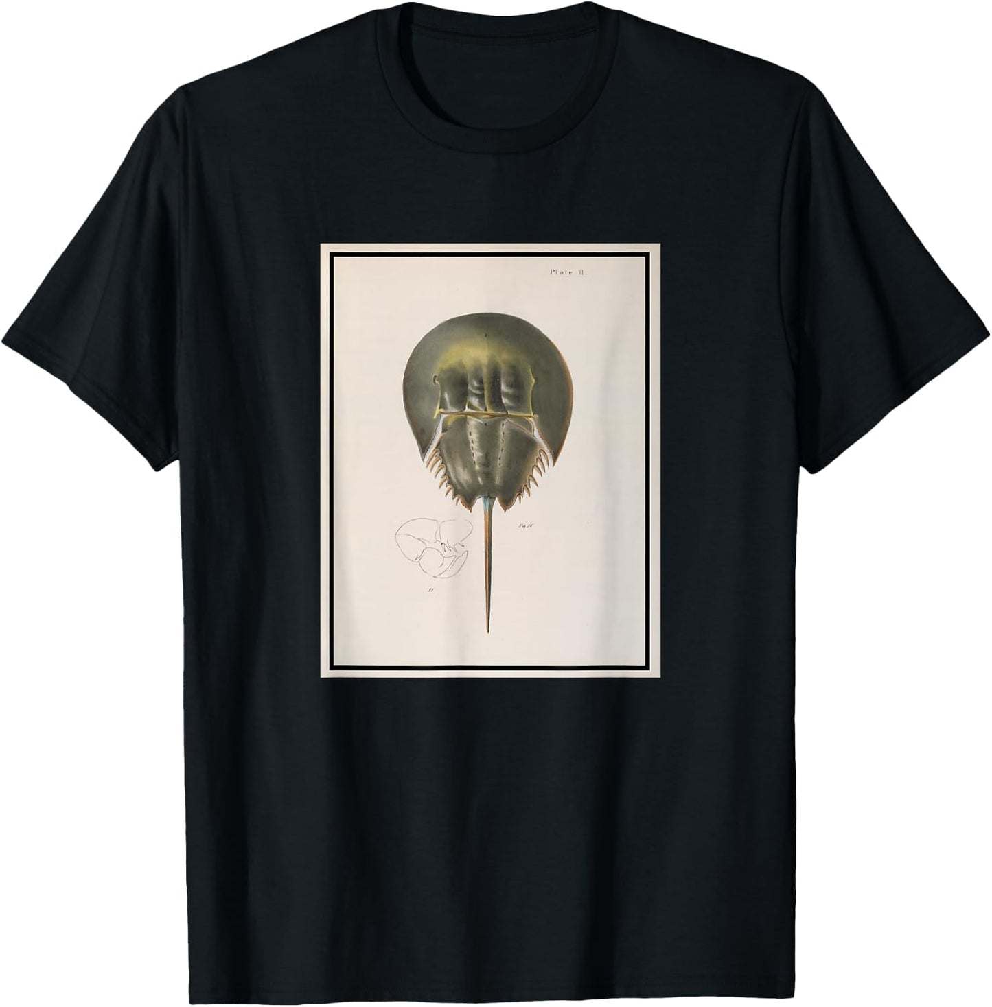 Vintage Horseshoe Crab Illustration (1844) T-Shirt - T-Shirt | Black