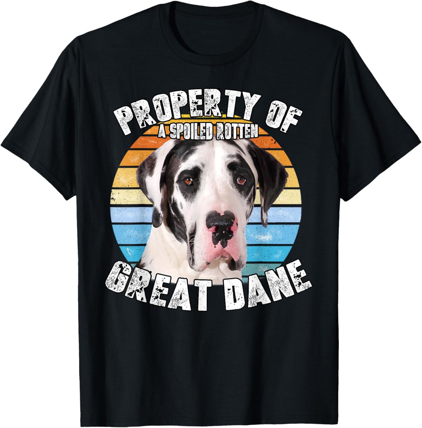 Great Dane Harlequin Vintage Retro Property Of T-Shirt - T-Shirt | Black