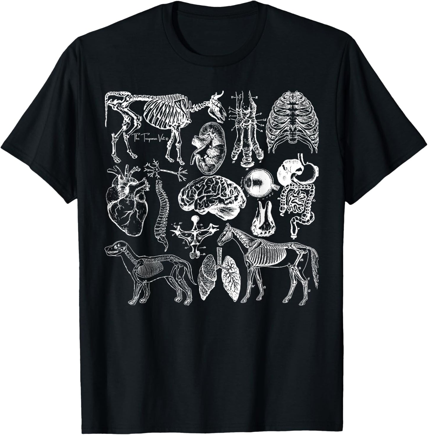 Veterinary Anatomy Animal Design T-Shirt - T-Shirt | Black