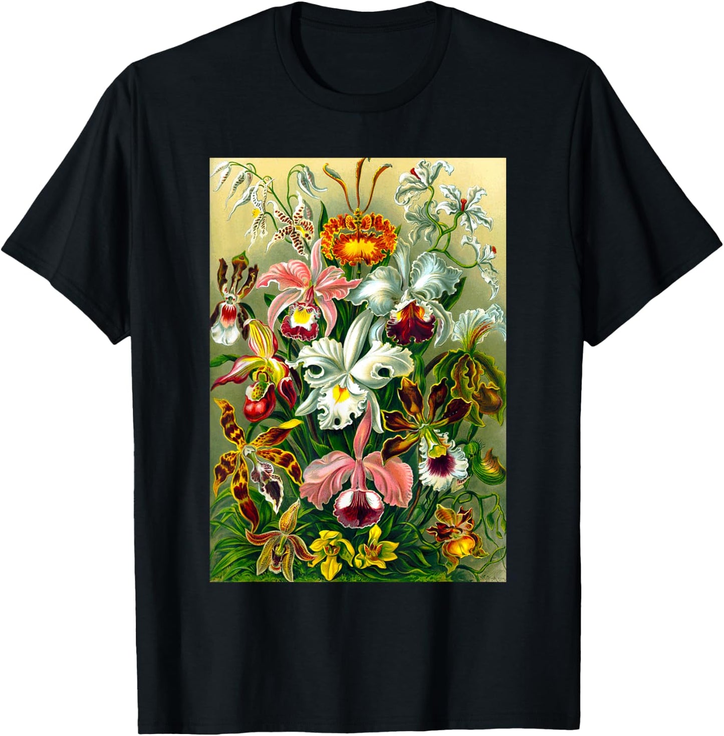 Ernst Haeckel Vintage Biological Botanical Orchid Art T-Shirt - T-Shirt | Black