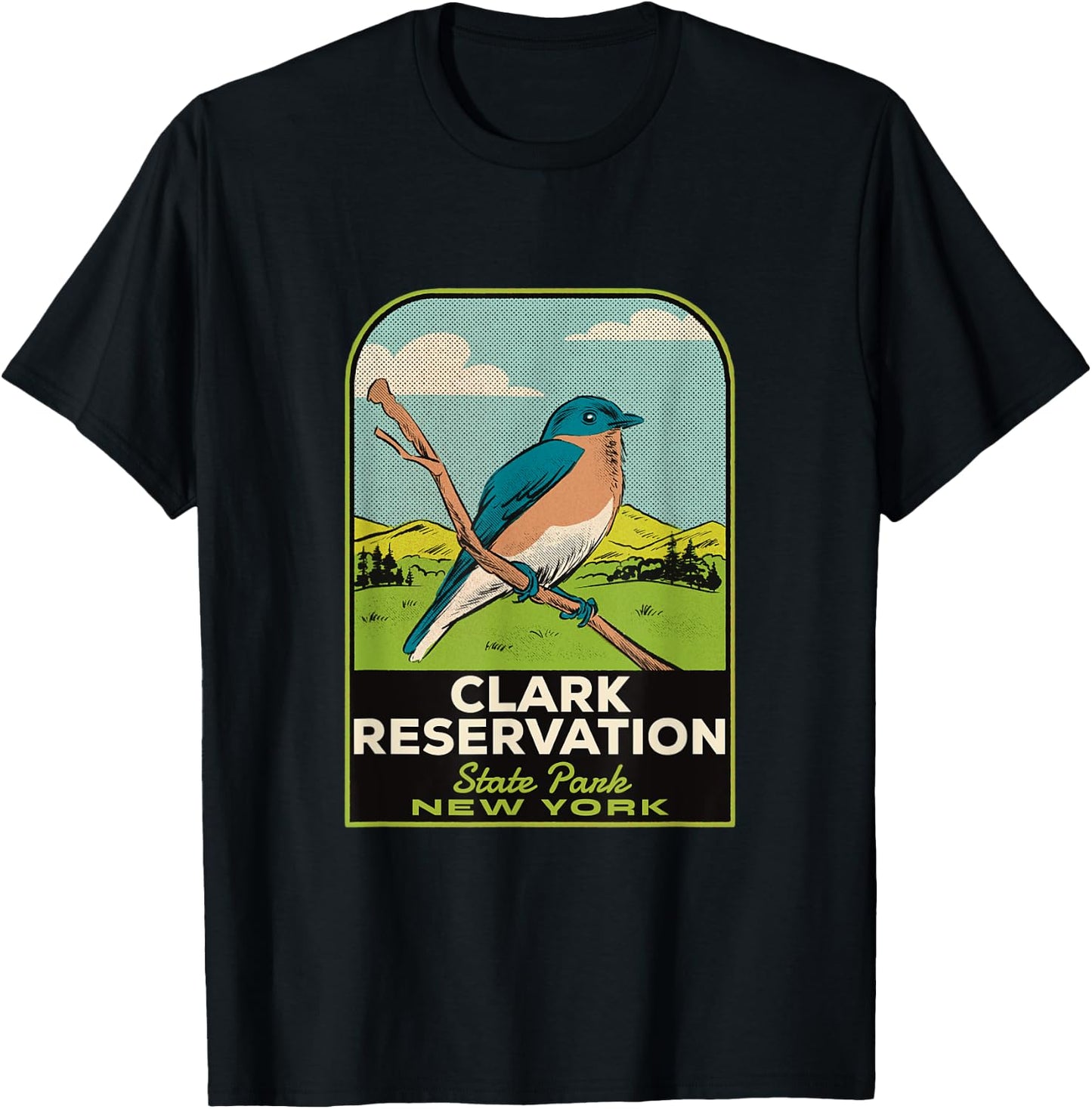 Clark Reservation State Park NY Vintage Travel T-Shirt - T-Shirt | Black