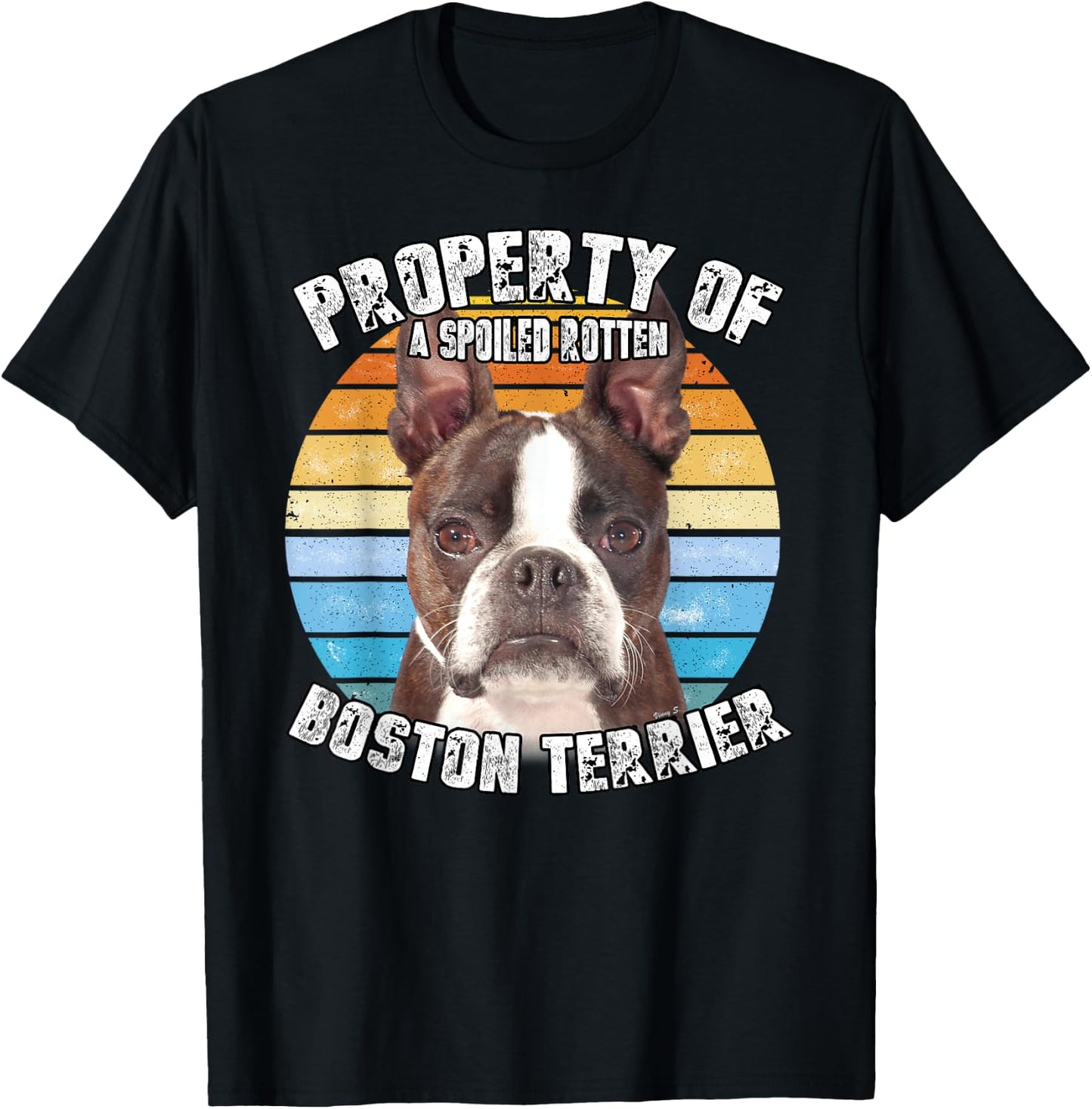 Boston Terrier Brindle Property Of T-Shirt - T-Shirt | Black