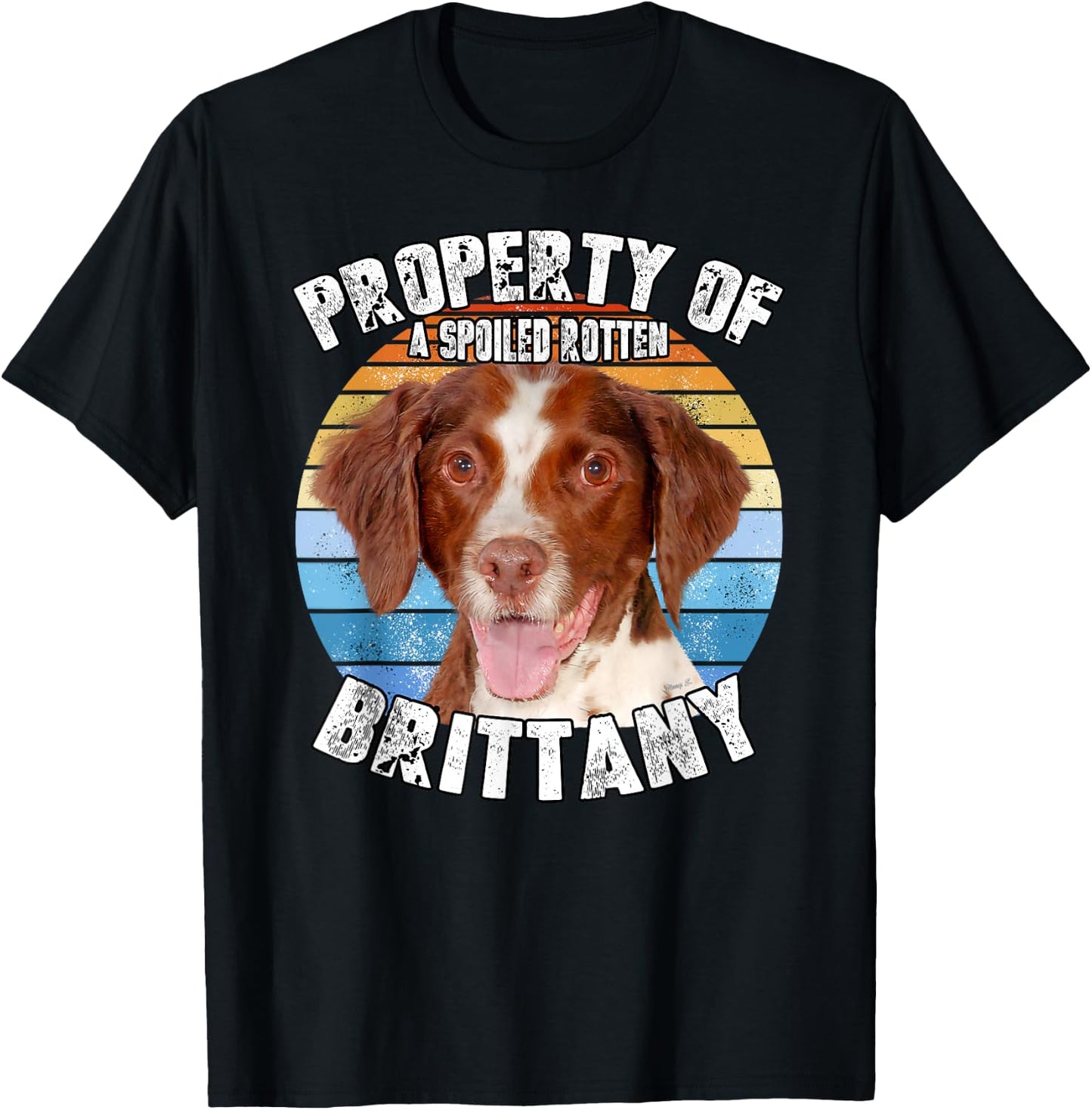 Brittany Spaniel Property Of T-Shirt - T-Shirt | Black