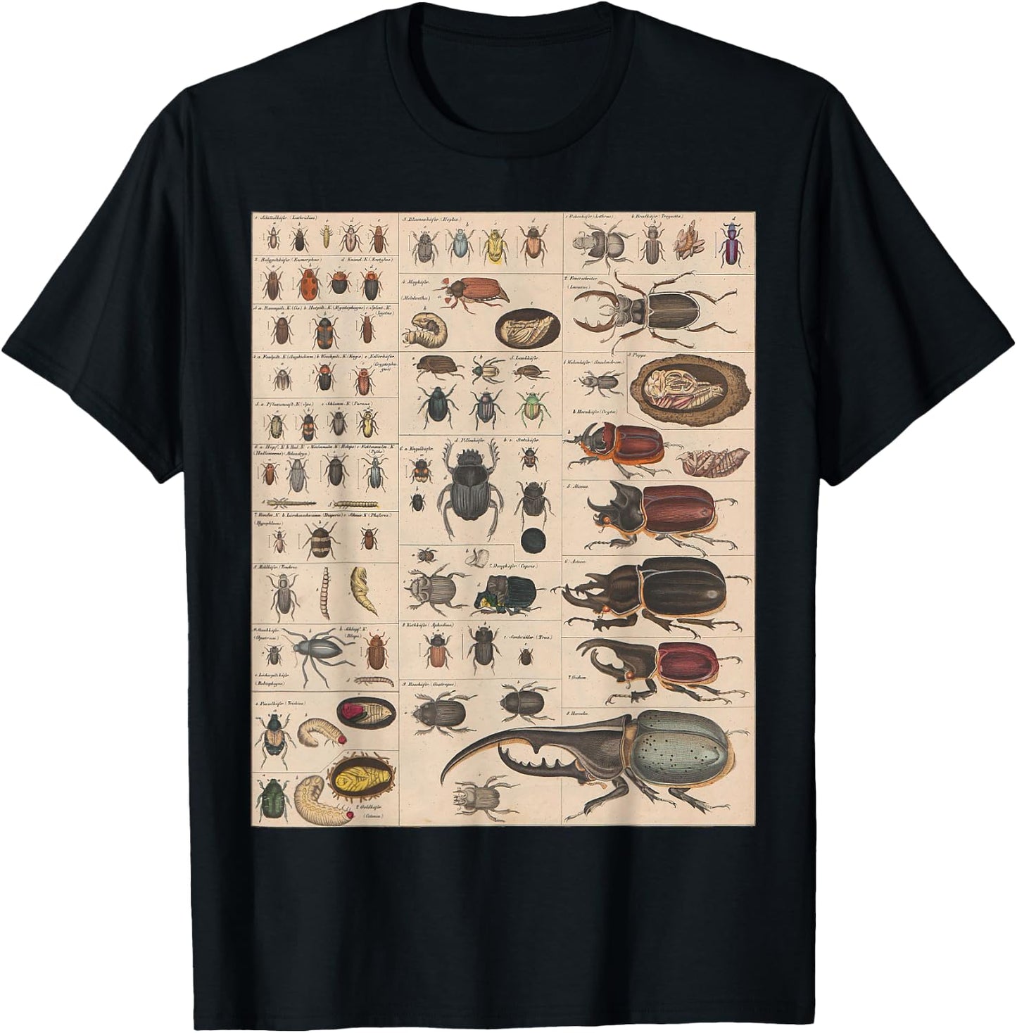 Insects Collection Species Bugs vintage Chart Entomology T-Shirt - T-Shirt | Black