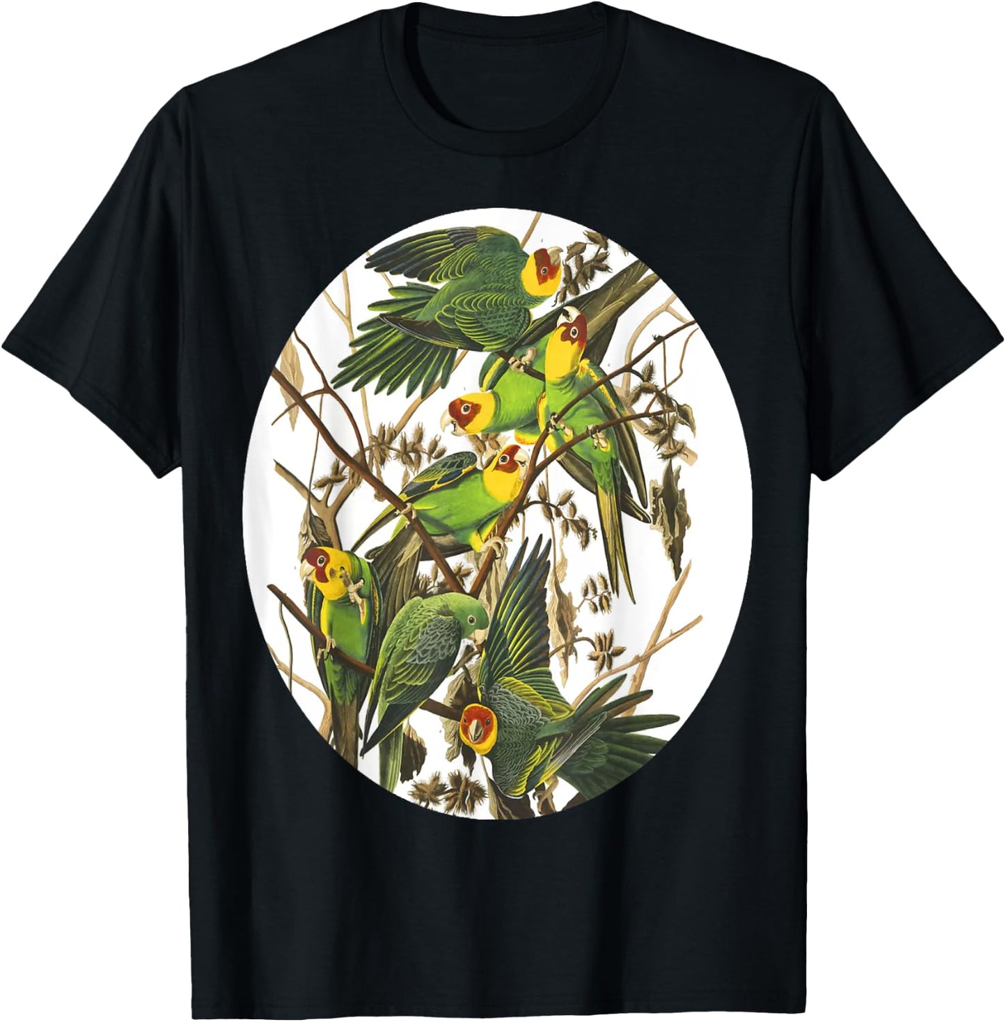 Birds Of North America T-Shirt - T-Shirt | Black