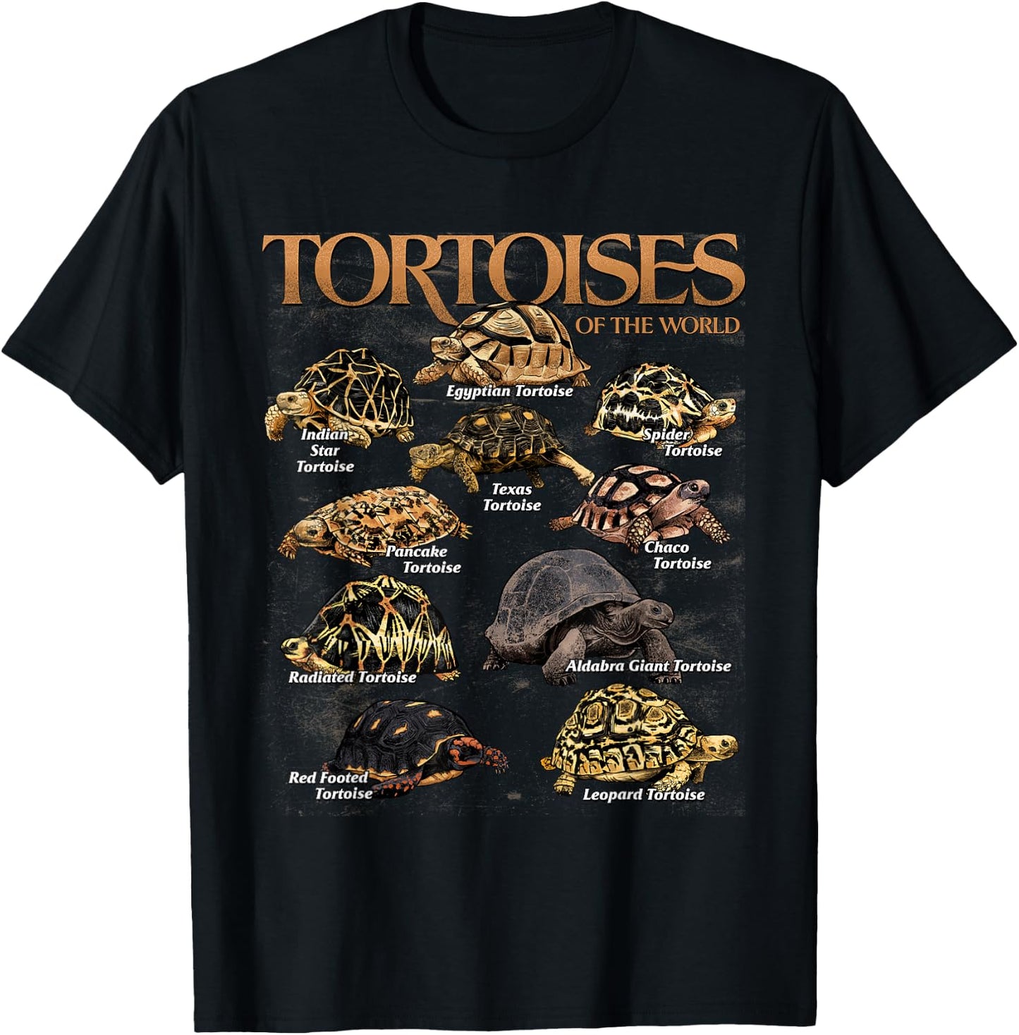 Tortoises Animals of The World Educational Sea Turtle Lover T-Shirt - T-Shirt | Black