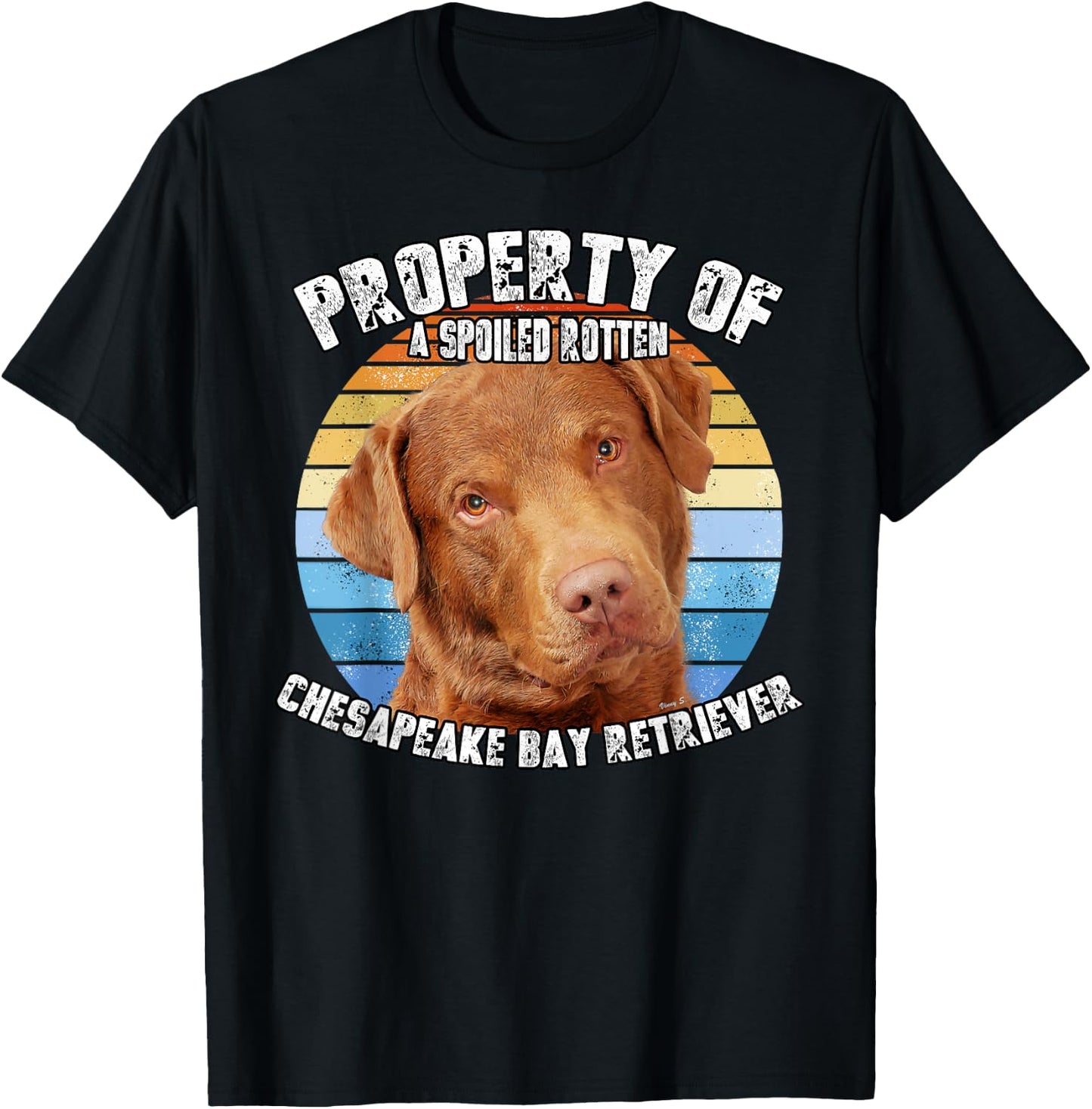 Chesapeake Bay Retriever Property Of T-Shirt - T-Shirt | Black
