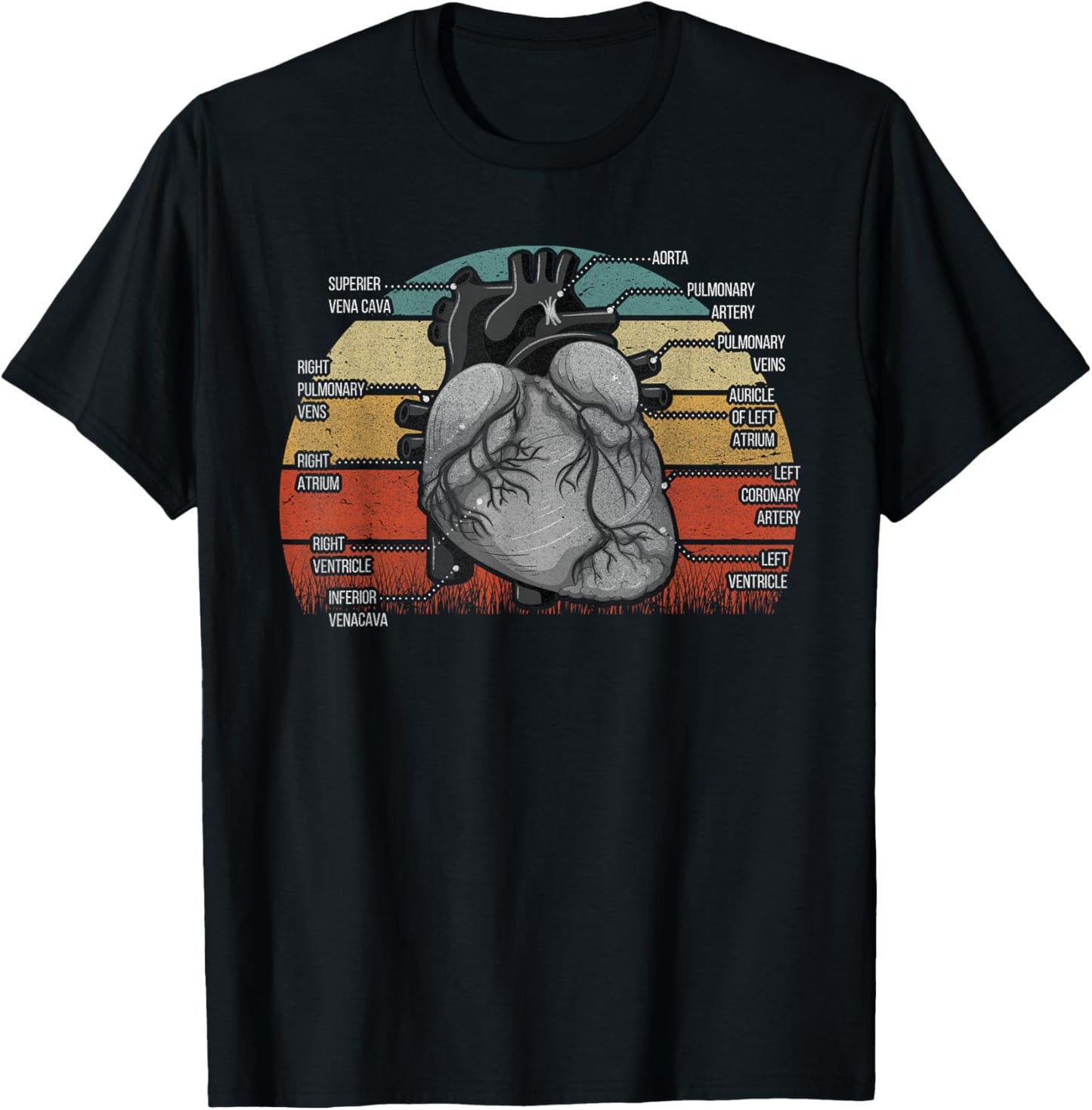 Parts Of Heart Cardiology Men Women Anatomical Cardiac T-Shirt - T-Shirt | Black